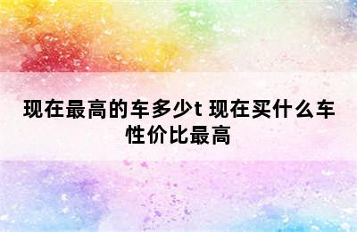 现在最高的车多少t 现在买什么车性价比最高